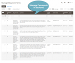 Manage blog comments page