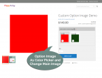 main image changes with Option Image selection