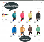 Attribute Option Image in Layered navigation 