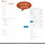 Puntopagos Payment methods on checkout page