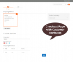 Checkout page with customer attributes