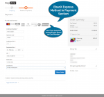 Magento 2 - Ebanx Payment on checkout page